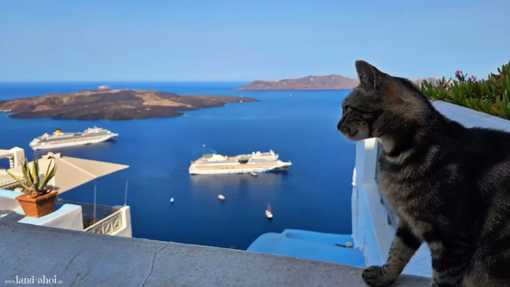 Eine Katze genießt den Ausblick von Santorin